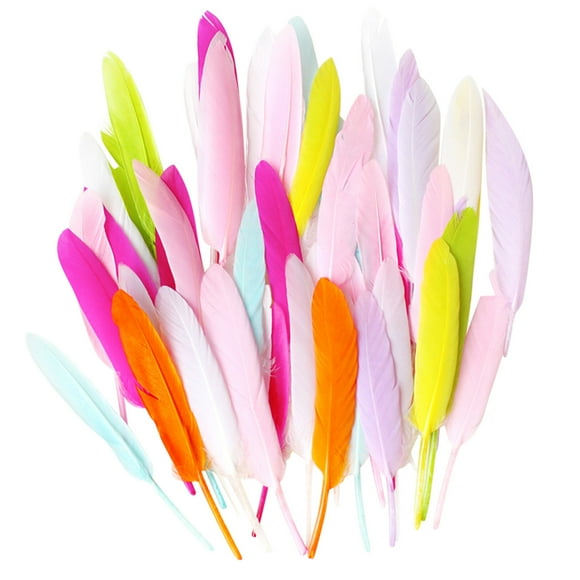 Arts & Crafts Jouet DIY pour Expression 50 Plumes Colorées Naturelles Kit d'Artisanat pour Enfants Décoration Manuelle Inspirante et Projets Animaux