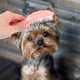 thumbnail image 4 of BESTYASH Cepillo Para Perros Pequeños Con Ergonómico Y Suaves Para Eliminar, 4 of 8