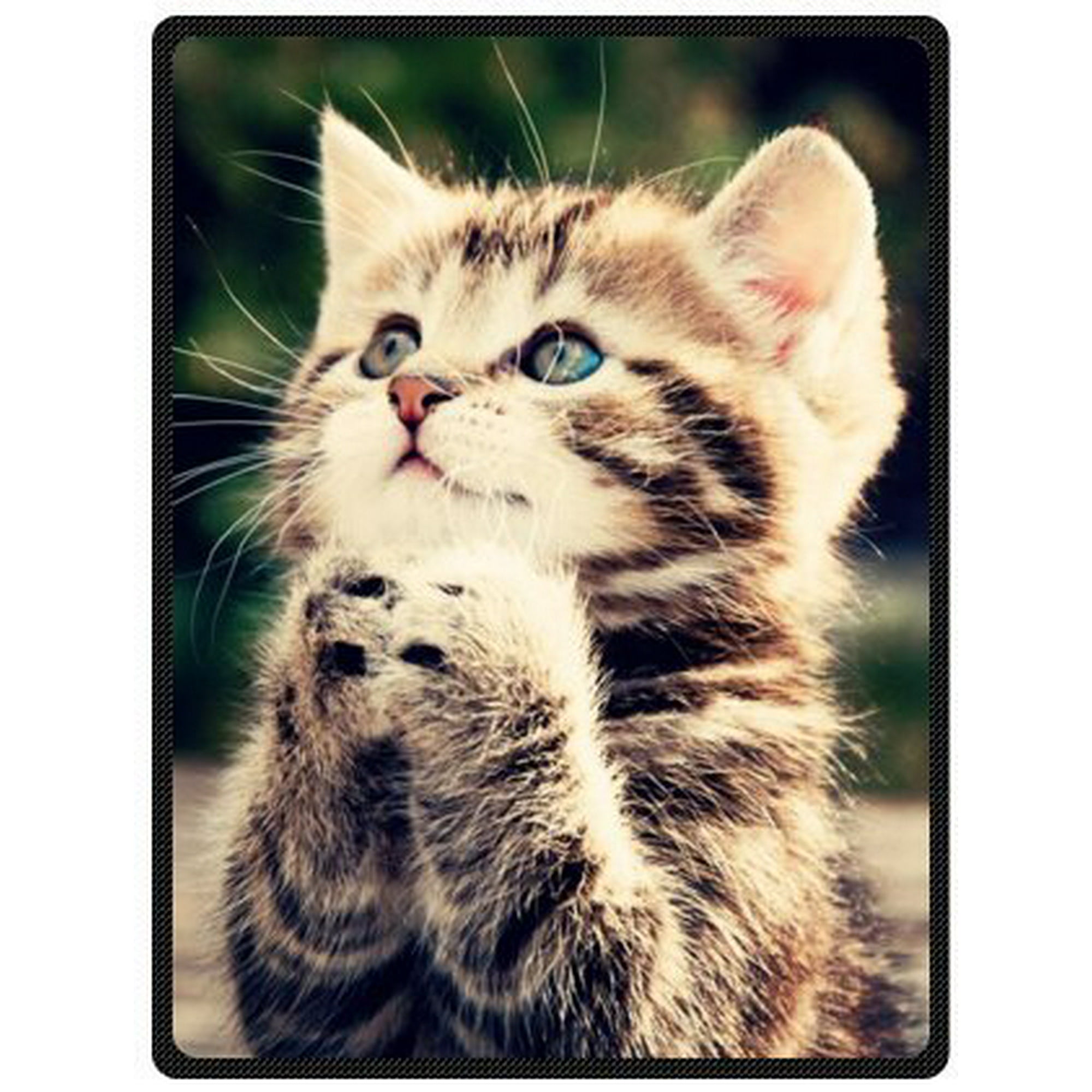 Cat blanket walmart hotsell