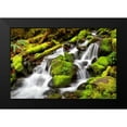 thumbnail image 2 of Taylor, Douglas 24x17 Black Modern Framed Museum Art Print Titled - Forest Stream, 2 of 5