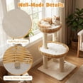 thumbnail image 5 of Hejuchuangli 30-inch Small   Cat Tree, Multi-Level Cute Cat Tower with Sisal Scratching Posts, 2 Comfy Large Perches with Soft Removable Pads, and Hanging Ball, Ideal for Indoor Cats and Kittens, 5 of 9