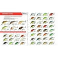thumbnail image 2 of BANDIT LURES Crankbait Series 100 200 & 300 Bass Fishing Lures, Bluegill, Series 200 (Dives to 8'), 2 of 3