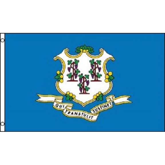 3x5 Connecticut Flag Polyester State Banner 3' x 5' CT