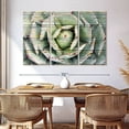 thumbnail image 3 of Elephant Stock Rustic Agave Wall Art - Horizontal Multi Panel Canvas - Living Room Wall Decor - Floral And Botanical Multi Panel - Blue And Brown Decor - 65" x 42", 3 of 8