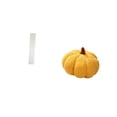 View all media