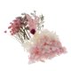 thumbnail image 5 of 2xnatural Hojas Secas Reales Prensadas Flores Para Manualidades De Arte Ves Zulema hojas secas naturales flores, 5 of 8