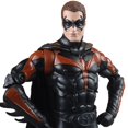 thumbnail image 3 of DC Multiverse Batman & Robin Film Robin - Mr. Freeze BAF, 3 of 13