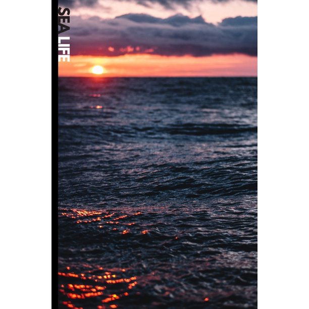 Descriptive writing about swimming in the ocean picture