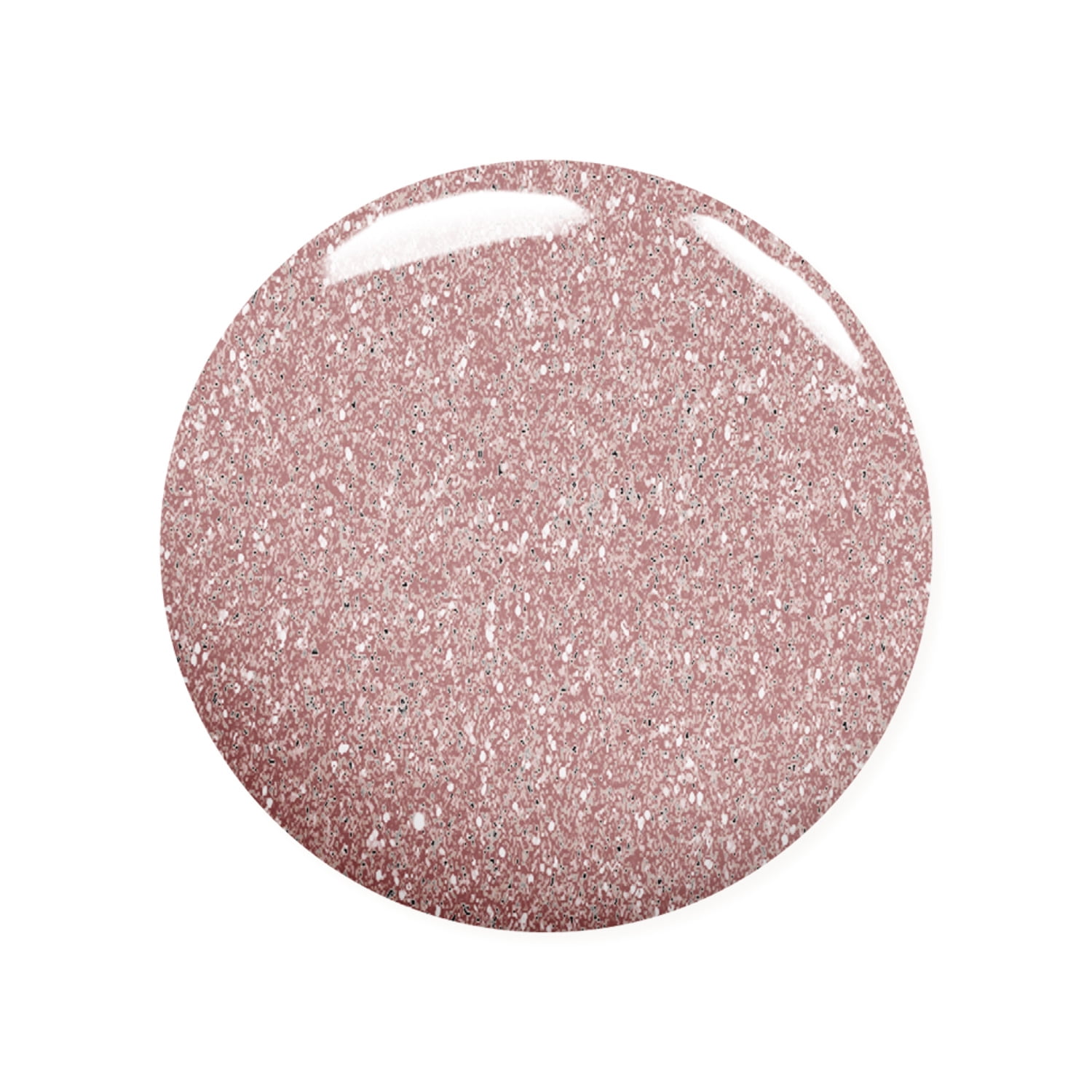 Holo Lover