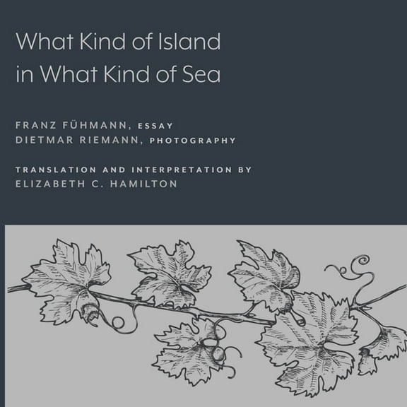What Kind of Island in What Kind of Sea?, (Paperback)