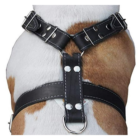 Black Genuine Leather Dog Harness Large. 30-35 Chest, 1.5 Wide Straps Pitbull, (Best Leather Dog Harness)