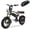 16"x4" Fat Tire-Black/Electric Battery-Black, variant on Skeri 750W (Peak 1000W) Electric Bike, 16” x 4” Fat Tire Dual Suspension E-Mountain Bikes, 48V 13Ah Battery UL2849
