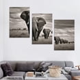 thumbnail image 4 of COMIO  Black and White Elephant Canvas Art Prints Animal Painting Wall Art Living Room Pcitures artwork for walls Decor 12''x16''X3 Panels, 4 of 4