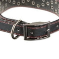 Vibrant Life Studded Fashion Dog Collar, Black, Medium
