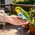 thumbnail image 6 of Parrot Harness and Leash, Pet Bird Harness with Leash, Adjustable Fit Breathable Fabric Escape-Proof,For Small to Medium Parrots, Outdoor Training & Walks (5.5x4.7 Inch,Purple ), 6 of 6