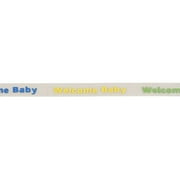 Wrights 7/8" Multi Color Welcome Baby Sheer Ribbon
