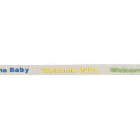 Wrights 7/8" Multi Color Welcome Baby Sheer Ribbon