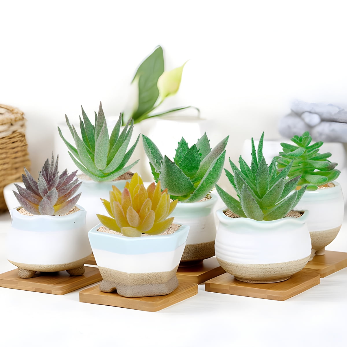 Artificial Succulent Plant Faux Cactus Plant Bulk for DIY Indoor Outdoor Home Office Table Decor 18pcs