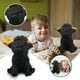 thumbnail image 1 of Regalos para niños!Muñde de pelupara niños pelumuñde de juguete de regalo estilo de dibujos animados muñde de trapde de los niños, 1 of 9