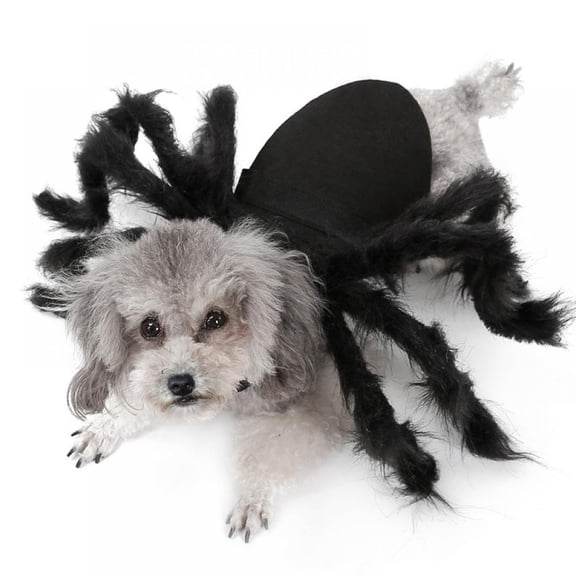 Keimprove Halloween Hot Selling Pet Spider Clothes Puppy Cat Horror Simulation Plush Spider Transformation Party Dress Up