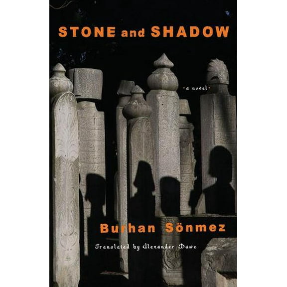 Stone and Shadow : A Novel (Paperback)