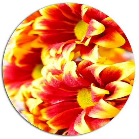 Red Flower Photo - Design Art 'Red Yellow Flower Background Photo' Photographic Print on Metal