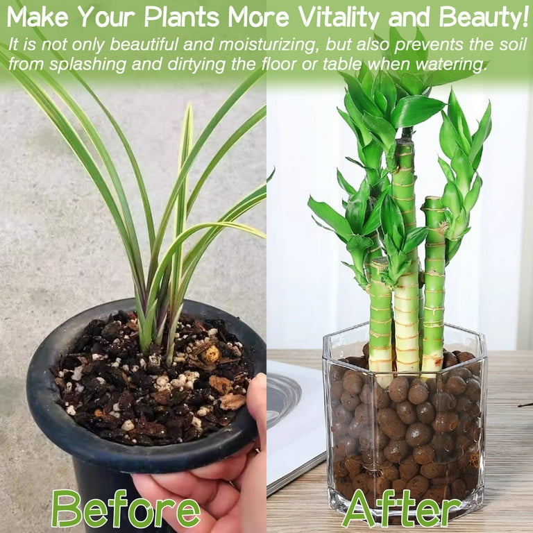 ZeeDix 15lb Leca Clay Pebbles for Hydroponic Gardening Decorative