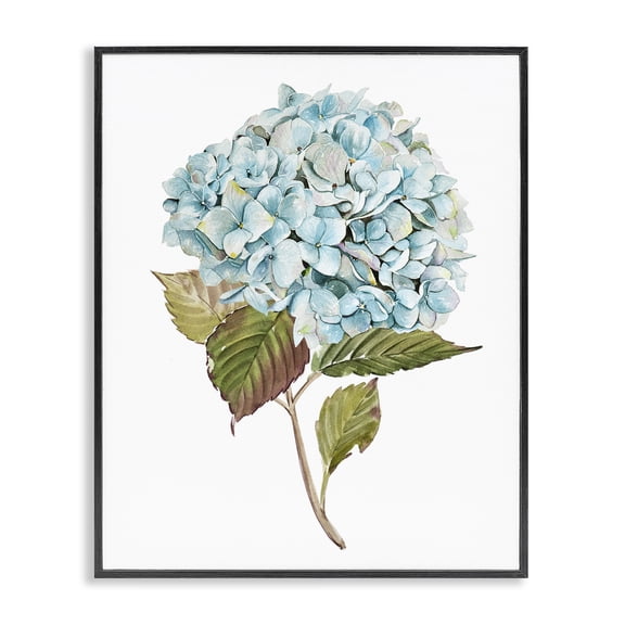 Stupell Industries Traditional Simple Hydrangea Bud Black Framed Giclee Art, 11 x 14, by Enya Todd
