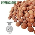 PGN Clay Pebbles for Hydroponic Growing 10 Liters (4 Pounds) Organic Expanded Clay Balls for