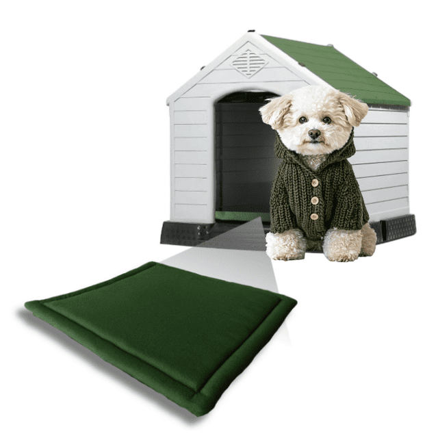 Casa Y Cama Para Perro Q Perrón Raza Chica Color Verde