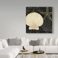 thumbnail image 3 of Trademark Fine Art 'Coastal Moonlight II' Canvas Art by Pela Studio, 3 of 3