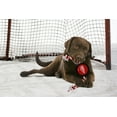 thumbnail image 2 of Pets First DRW-3233 Jouet Rondelle de Hockey Detroit Red Wings, 2 of 3