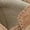 Camel Brown, variant on Women's Daphne Slip-On Platform Sneaker Camel Brown Suede 11M