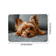 thumbnail image 3 of AuroraX Welcome Door Mat for Outside with Writings Non-Slip Waterproof Seasons Doorway Door Rugs for Entryway,Cute Cat 16x24 inch, 3 of 6
