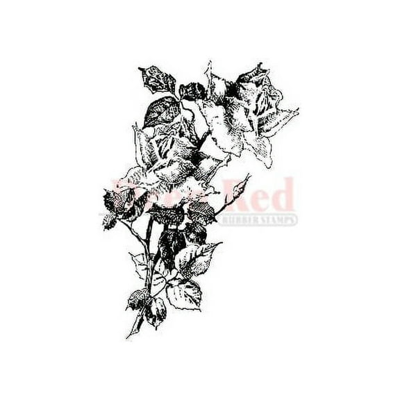 Deep Red 2'' x 3'' Roses Pen Ink Rubber Stamp Set
