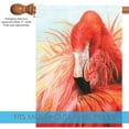 thumbnail image 3 of Toland Home Garden Flamingo Tutu House Flag, 3 of 5