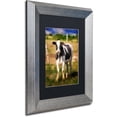 thumbnail image 2 of Trademark Fine Art "Oh You Beautiful Doll" Canvas Art by Lois Bryan Black Matte, Silver Frame, 2 of 4