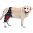 thumbnail image 1 of Rodillera para perros, soporte para patas de perro, soporte de cadera para lesiones de ligamentos cruzados, CCL, dislocación de rótula u osteoartritis, 1 of 5
