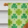 thumbnail image 3 of SS4418CHF Drapeau Portrait Trèfle de la Saint-Patrick en Toile - Taille Maison, 3 of 4
