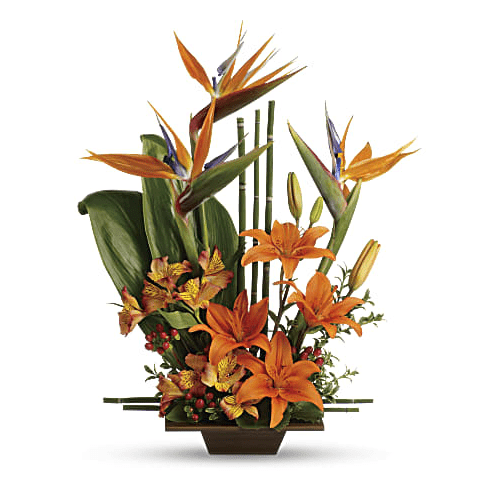Teleflora's Bamboo Dish Collection Dark, Style# 10N700 - VASE ONLY!!