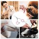 thumbnail image 4 of Tijeras de peluquería para mascotas de cabeza redonda de 1 pieza Unique Bargains de 4 pulgadas en tono plateado y acero inoxidable rosa, 4 of 4
