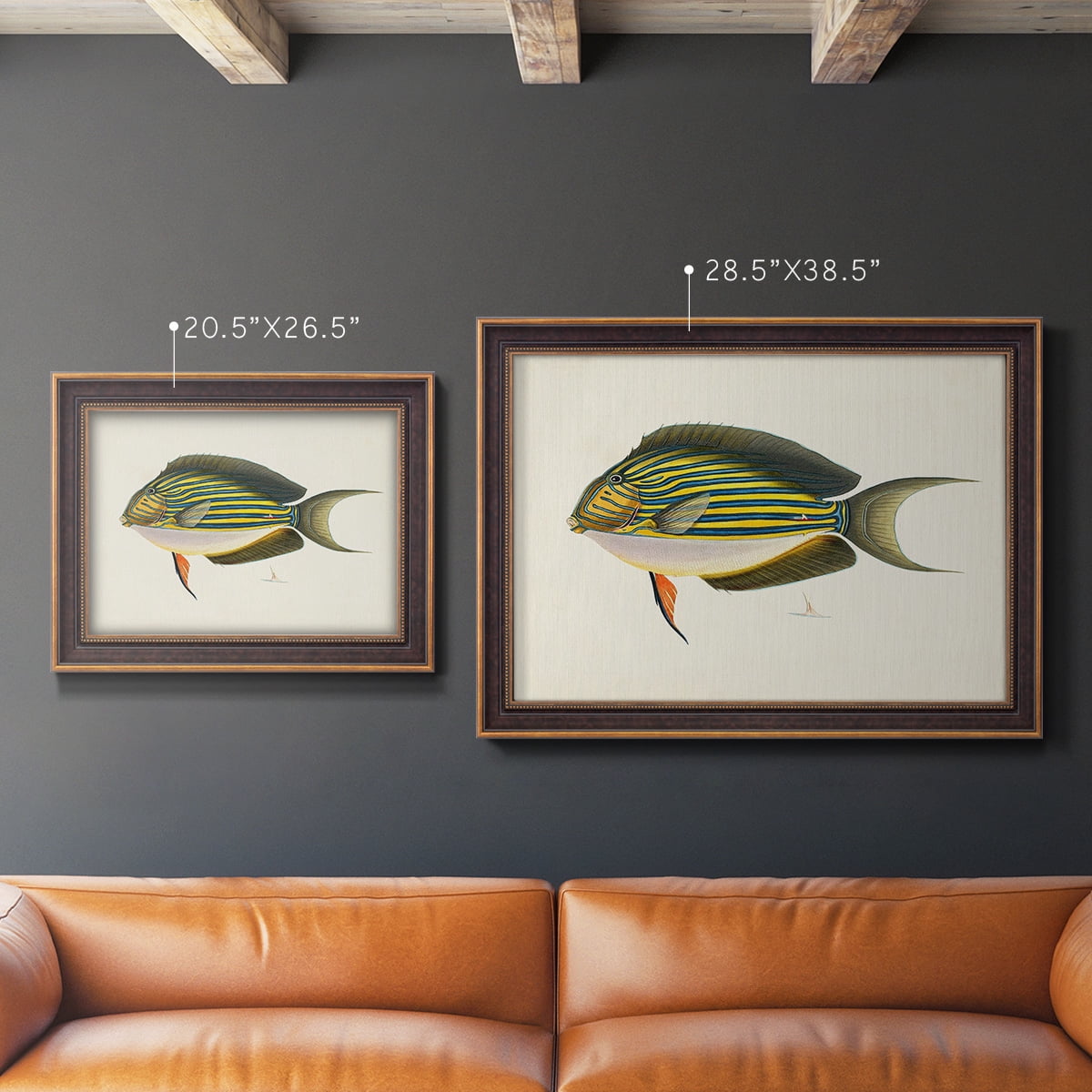 Tropical Fish Collection I Premium Framed Canvas- Ready to Hang