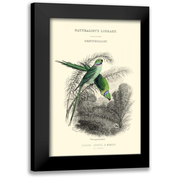 Lizars, W.H. 11x14 Black Modern Framed Museum Art Print Titled - The Naturalists Library I