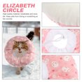 thumbnail image 4 of Miangastore Cat After-surgery Collar Prevent Scratching Cone Shape Soft Design 1Pack, 4 of 9