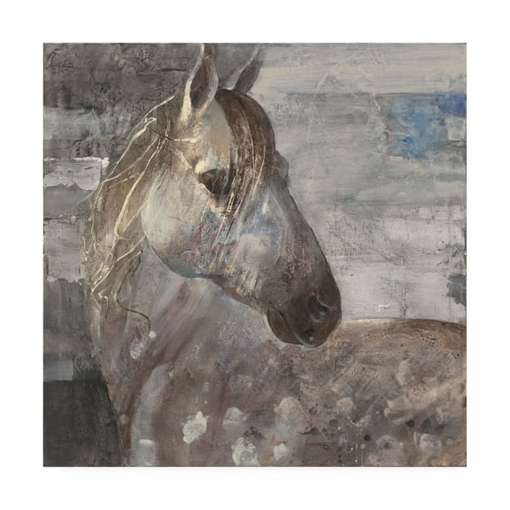 Trademark Fine Art 'Appaloosa' Canvas Art by Albena Hristova