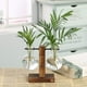 thumbnail image 5 of Jarrón de vidrio con soporte para bulbos, jarrones para plantas hidropónicas con soporte de madera, jarrones de flores estilo terrario para escritorio de oficina, decoración de bodas, 5 of 8