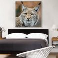 thumbnail image 2 of ARTCANVAS Lynx In Forest Home Decor Square Canvas Art Print - Size: 36" x 36" (1.50" Deep), 2 of 9