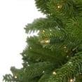 thumbnail image 2 of Northlight Real Touch™️ Pre-Lit Full Palisades Fir Artificial Christmas Tree - 7.5' - Clear Lights, 2 of 8