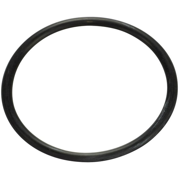 Spectra Premium LO22 Fuel Tank O-Ring