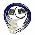 thumbnail image 3 of Taylor Cable 85653 ThunderVolt 8.2 White Ceramic Boot Universal Wire Set 135? Blue, 3 of 3
